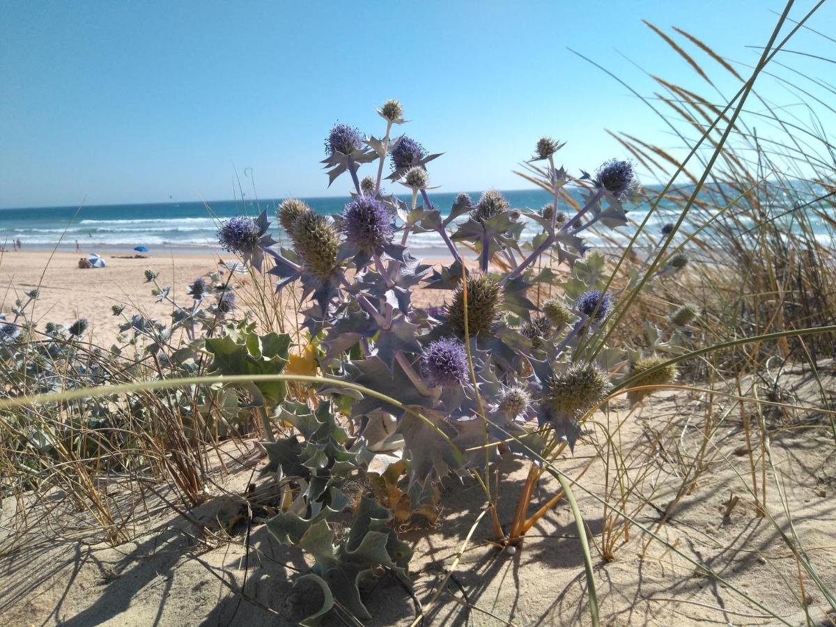 Caparica For Rent Lejlighed Costa de Caparica Eksteriør billede
