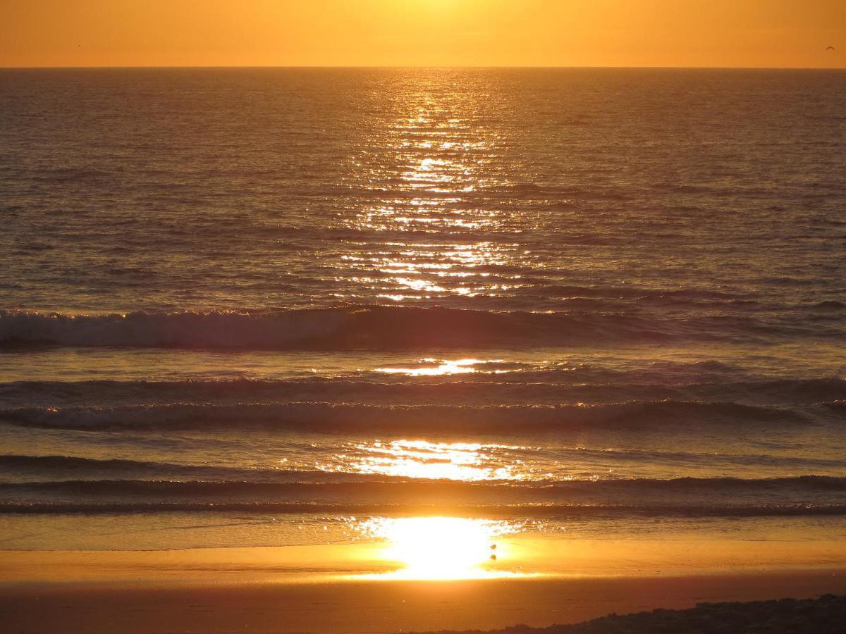 Caparica For Rent Lejlighed Costa de Caparica Eksteriør billede
